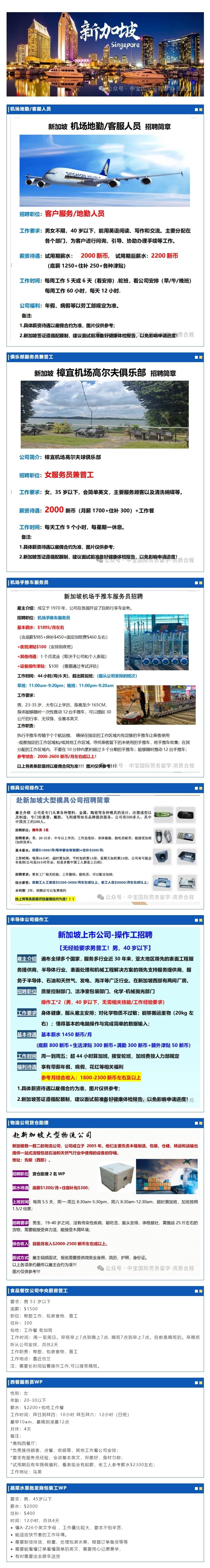 新加坡20251104招聘